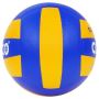 COSCO Volleyball SUPER
