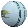 SF TRUE TEST WHITE STANFORD CRICKET BALL 12 BALL SET 