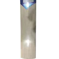 DSC Blu PRO English Willow Cricket Bat (Standard Size Short Handle)
