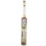 DSC Intense Power Selected Willow Cricket Bat