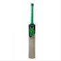 DSC Condor Scud Kashmir Willow Cricket Bat