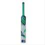 DSC Condor Scud Kashmir Willow Cricket Bat