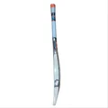 DSC Intense Rage English Willow Cricket Bat