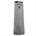 DSC Intense Rage English Willow Cricket Bat