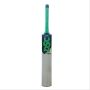 DSC Condor Sizzler Kashmir Willow Cricket Bat