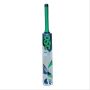 DSC Condor Sizzler Kashmir Willow Cricket Bat