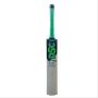 DSC Condor Aviator Kashmir Willow Cricket Bat