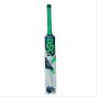 DSC Condor Aviator Kashmir Willow Cricket Bat