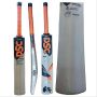 DSC Intense Storm Kashmir Willow Cricket Bat