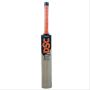 DSC Intense Storm Kashmir Willow Cricket Bat