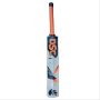 DSC Intense Storm Kashmir Willow Cricket Bat