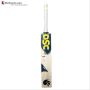 DSC VEXER 300 English Willow Cricket Bat