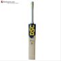 DSC VEXER 350 English Willow Cricket Bat