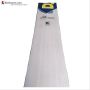 DSC VEXER 350 English Willow Cricket Bat