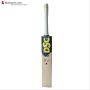 DSC VEXER 222 English Willow Cricket Bat