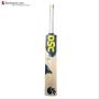 DSC VEXER 222 English Willow Cricket Bat