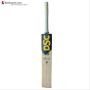 DSC VEXER 440 English Willow Cricket Bat