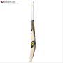 DSC VEXER 440 English Willow Cricket Bat