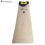 DSC VEXER 440 English Willow Cricket Bat