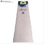 DSC VEXER 200 English Willow Cricket Bat