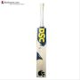 DSC VEXER 330 English Willow Cricket Bat