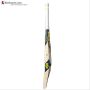 DSC VEXER 100 English Willow Cricket Bat