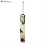 DSC VEXER 100 English Willow Cricket Bat