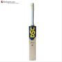 DSC VEXER 111 English Willow Cricket Bat
