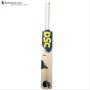 DSC VEXER 111 English Willow Cricket Bat