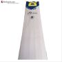 DSC VEXER 111 English Willow Cricket Bat