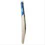 DSC Miller 10 Player Edition English Willow Cricket Bat (Blue)