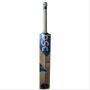 DSC BLU LUCID English Willow Cricket Bat
