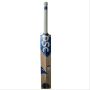 DSC BLU OXIDE English Willow Cricket Bat
