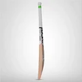 DSC Spliit Pro Grade English Willow Cricket Bat