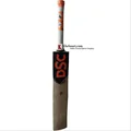 DSC Intense Attitude English Willow Cricket Bat