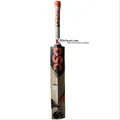 DSC Intense Attitude English Willow Cricket Bat