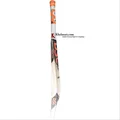 DSC Intense Attitude English Willow Cricket Bat