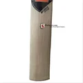DSC Intense Attitude English Willow Cricket Bat