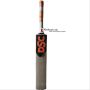 DSC Intense Crush Kashmir Willow Cricket Bat