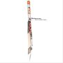 DSC Intense Crush Kashmir Willow Cricket Bat