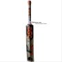 DSC Intense Spirit Kashmir Willow English Bat