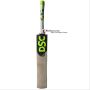 DSC Condor Winger English Willow Cricket Bat