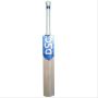 DSC Blu Cyan English Willow Cricket Bat