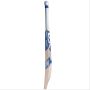 DSC Blu Cyan English Willow Cricket Bat