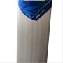 DSC Blu Cyan English Willow Cricket Bat
