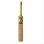 DSC Bravado Jive English Willow Cricket Bat