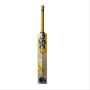 DSC Bravado Echo English Willow Cricket Bat