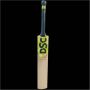 DSC Players Edition Invincible Uzi Usman Khawaja English Willow Cricket Bat