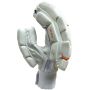 DSC Krunch The Bull Autograph Cricket Batting Gloves (Right Hand Mens Size)