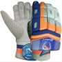 Gravity Dragon Cricket Batting Gloves